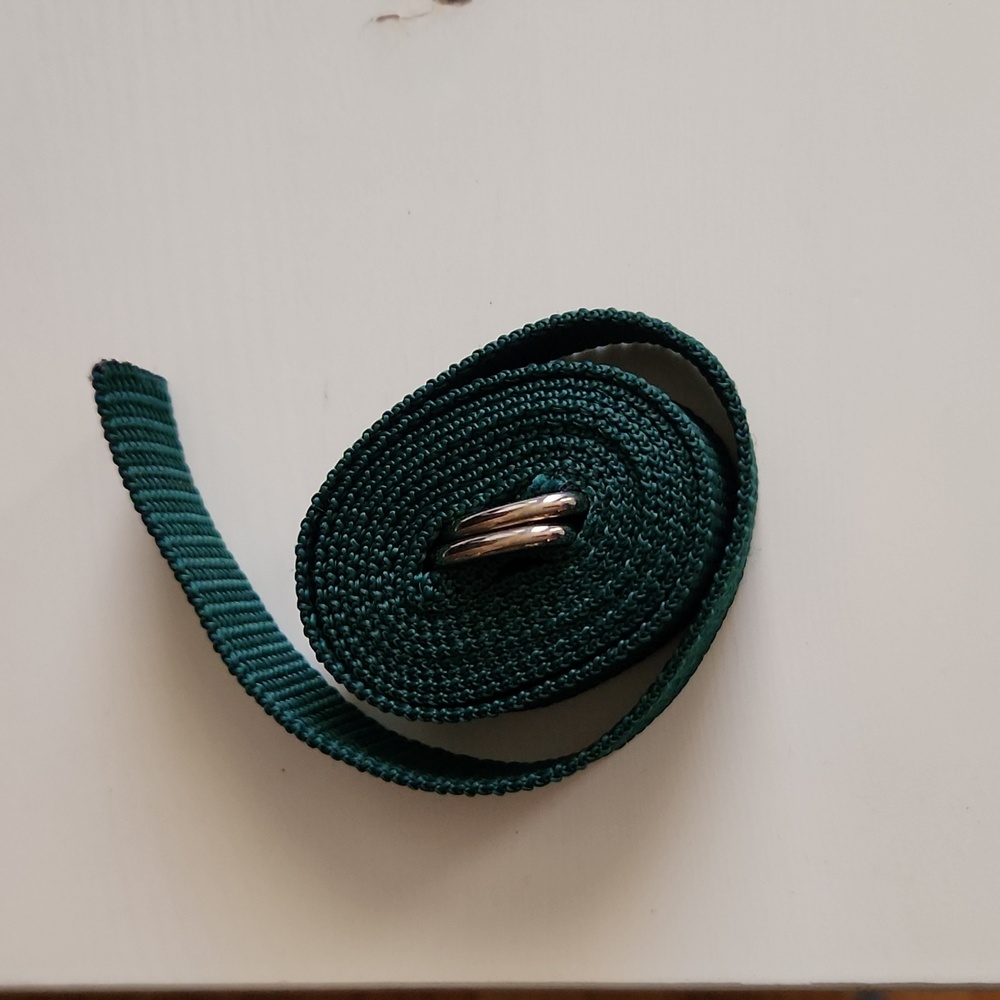 Waist belt